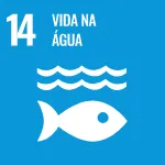 14 - Vida na Água